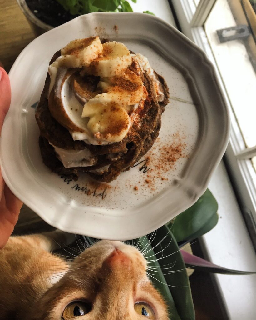 nina's digest cat pancakes banana cinnamon yogurt